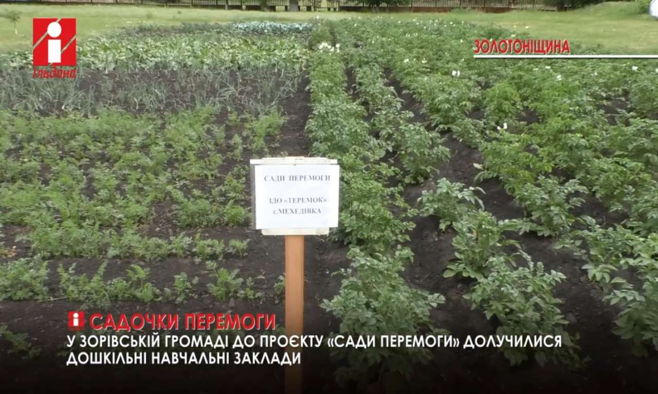 «Садочки Перемоги»: на Золотоніщині висаджують городину на територіях дошкільних закладів (ВІДЕО)